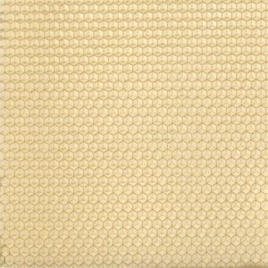 dronefoundationunwired