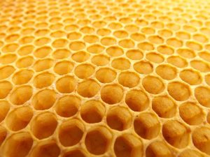 How do honeybees make beeswax?