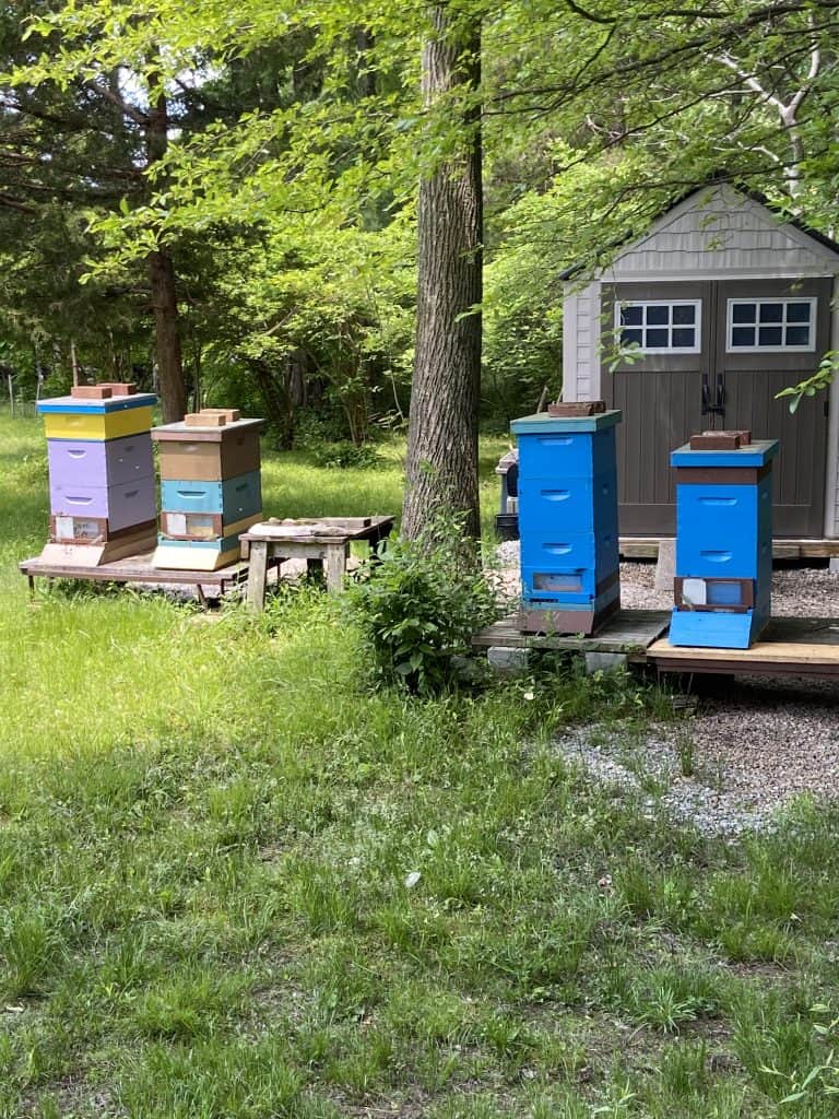 Colorful Beehives