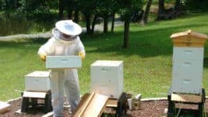 Hive Inspections and Recordkeeping