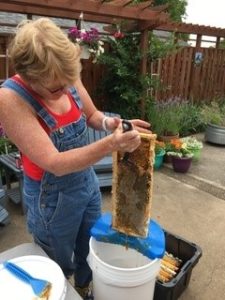 What should I do with honey frames after extraction?